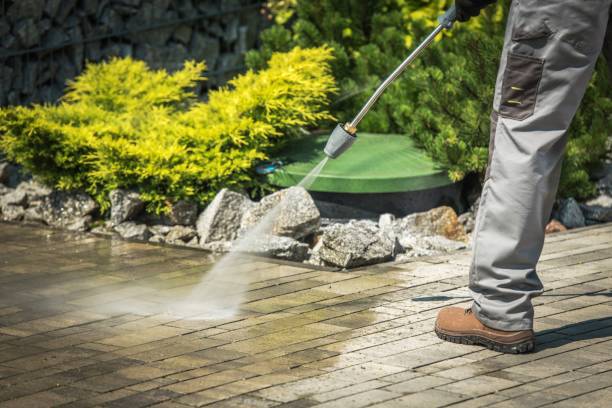 Best Rust Removal  in Wheaton, IL
